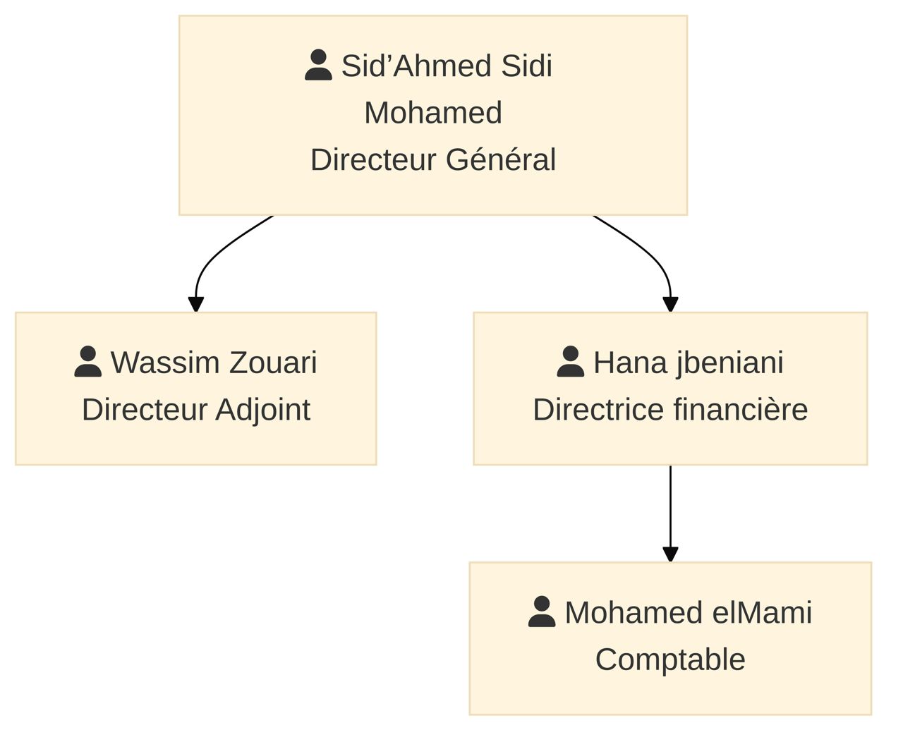 Carrefour Medical organizational chart